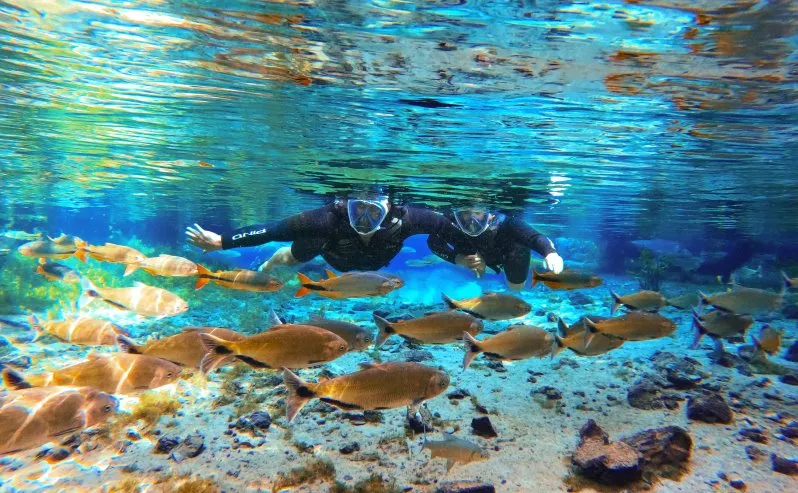 Bonito/MS: um guia para conhecer a capital brasileira do ecoturismo