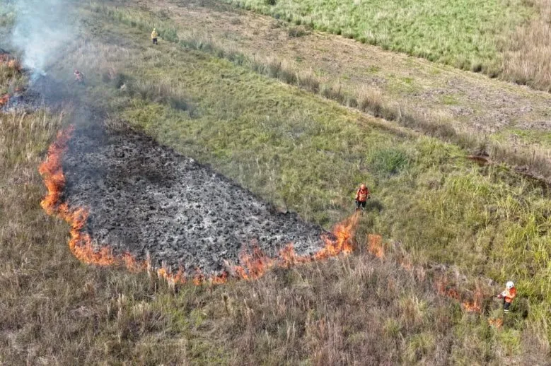 Agosto Cinza: MS registra até mil incêndios no mês mais crítico e reforça alerta