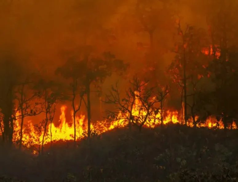 Desmatamento causa 74% da redução das chuvas e 16% do aumento da temperatura na Amazônia durante a seca
