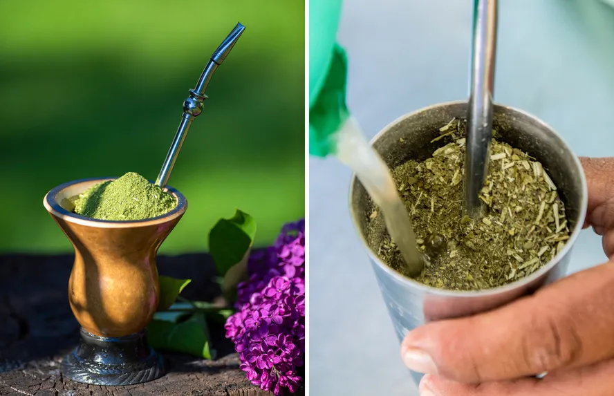 Do chimarrão ao tereré: conheça a erva-mate e seus efeitos para o corpo