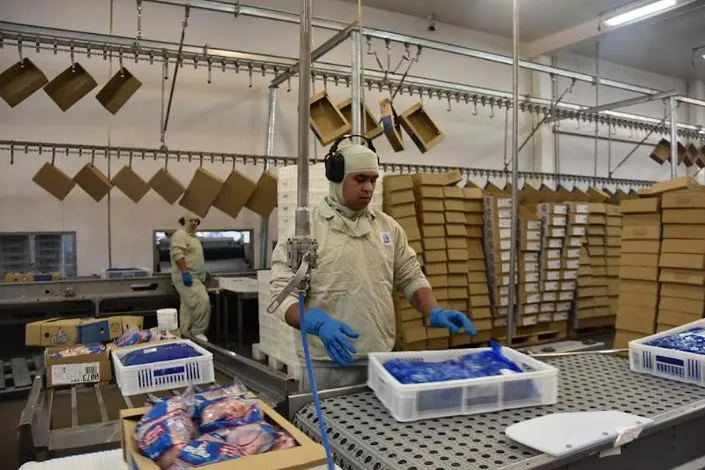 Economia: Indústria de MS encerrou 2025 com recorde nas exportações 