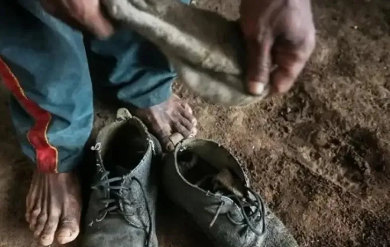 Mato Grosso concentra 31% dos trabalhadores resgatados de trabalho escravo no país