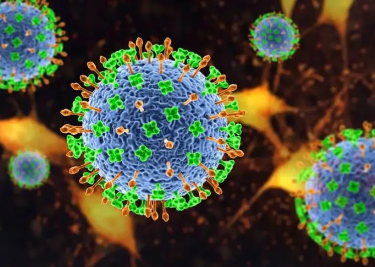 Mundo em alerta com o vírus Nipah na Índia, risco de chegar ao Brasil é baixo