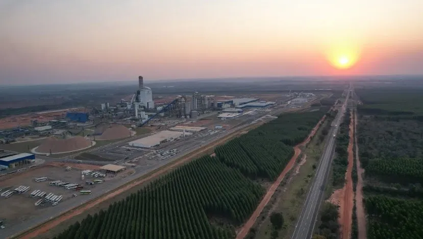 Suzano abre quatro processos seletivos para áreas florestais e de viveiro em Ribas do Rio Pardo
