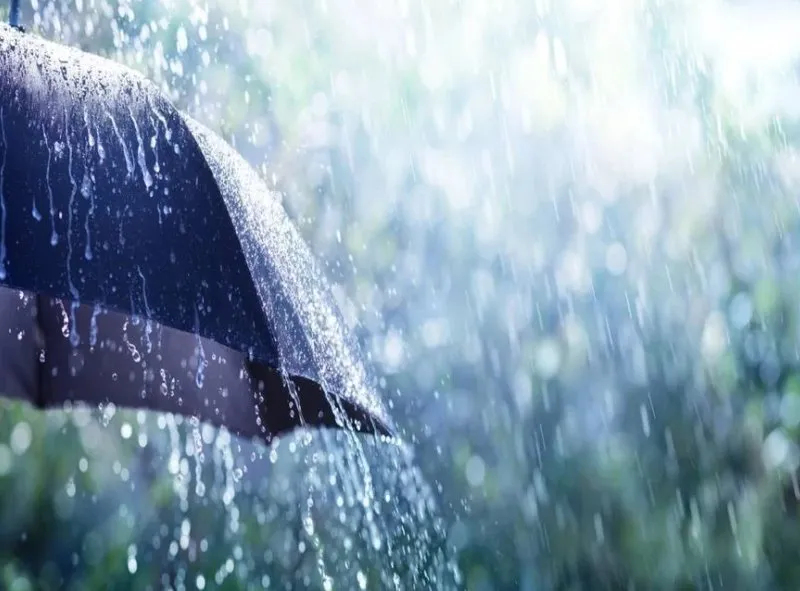 PREVISÃO DO TEMPO: domingo (12) de muitas chuvas no Centro-Oeste